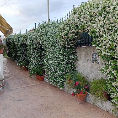 Bed And Breakfast Angolo Fiorito Civitavecchia Eksteriør billede