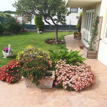 Bed And Breakfast Angolo Fiorito Civitavecchia Eksteriør billede