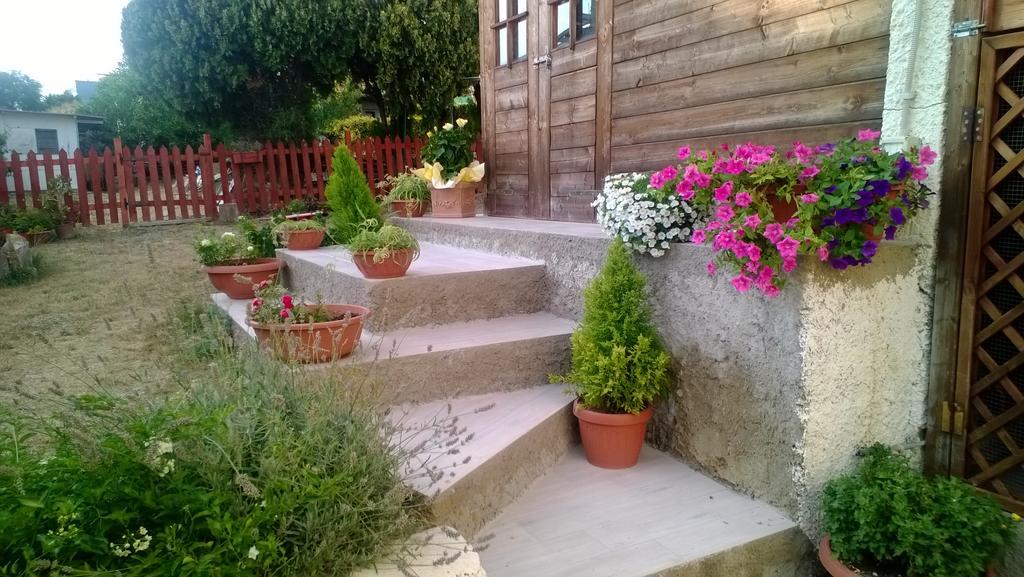 Bed And Breakfast Angolo Fiorito Civitavecchia Eksteriør billede