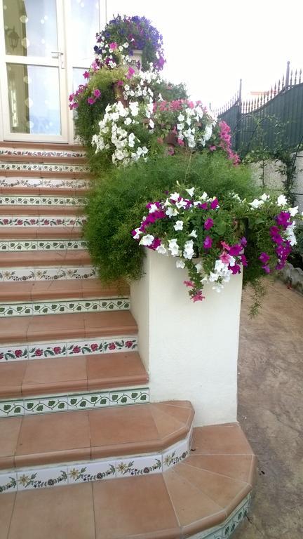 Bed And Breakfast Angolo Fiorito Civitavecchia Eksteriør billede