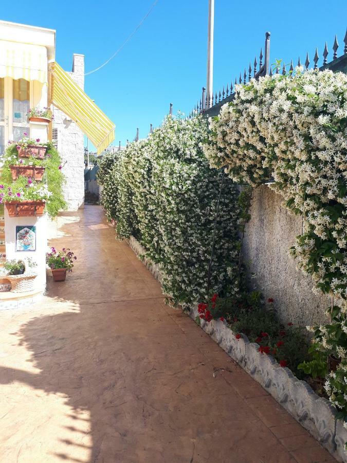 Bed And Breakfast Angolo Fiorito Civitavecchia Eksteriør billede